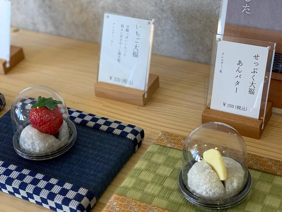 画像308