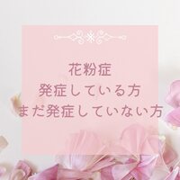 画像313