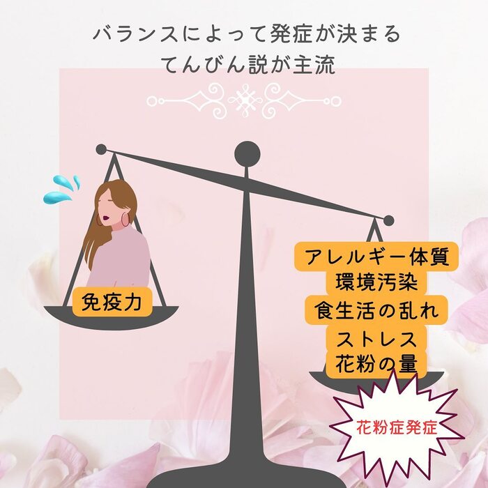 画像316