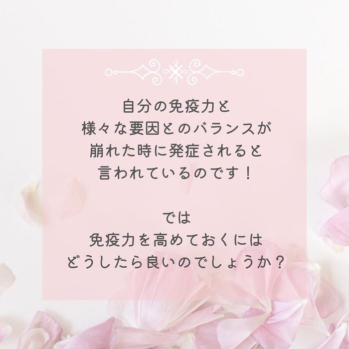 画像317